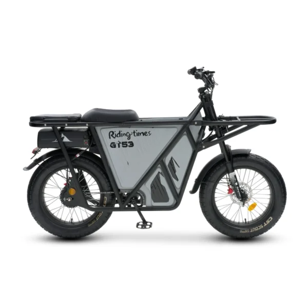 GT53 krovininis elektrinis dviratis 1000W
