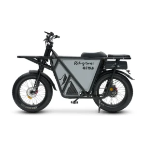 GT53 elektrinis dviratis 1000W su maksimalia 2000W galia ir 170 km nuvažiuojamu atstumu.