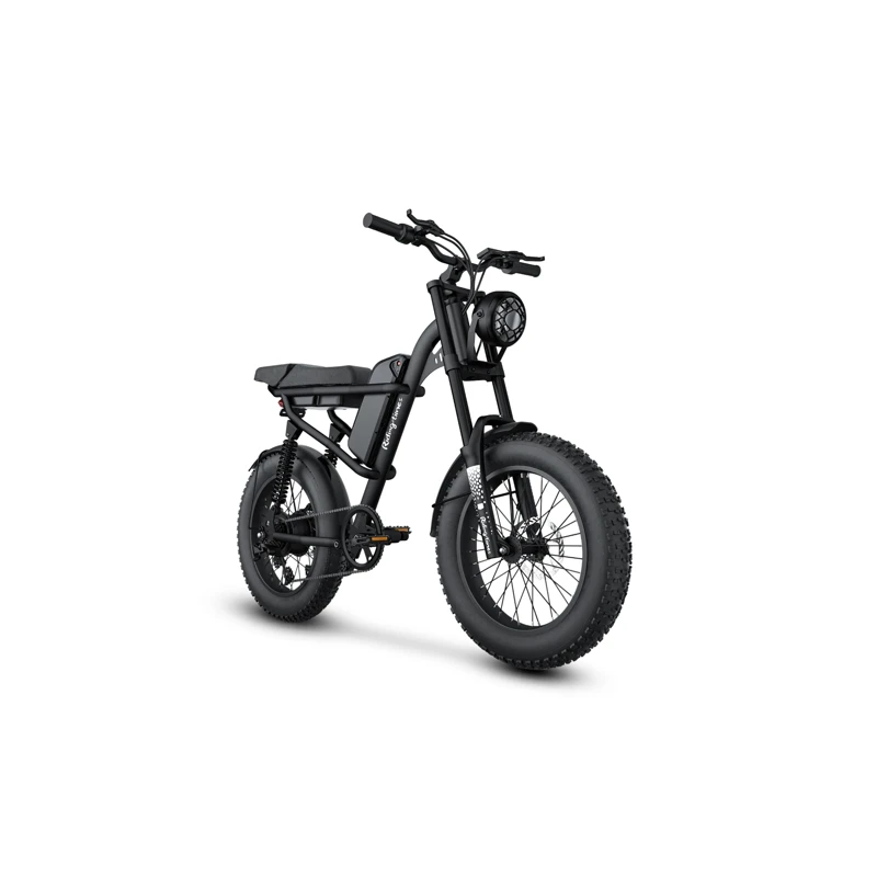 Riding Times Z8 elektrinis dviratis 500W su nuimama baterija, idealiai tinkantis miesto ir užmiesčio kelionėms.
