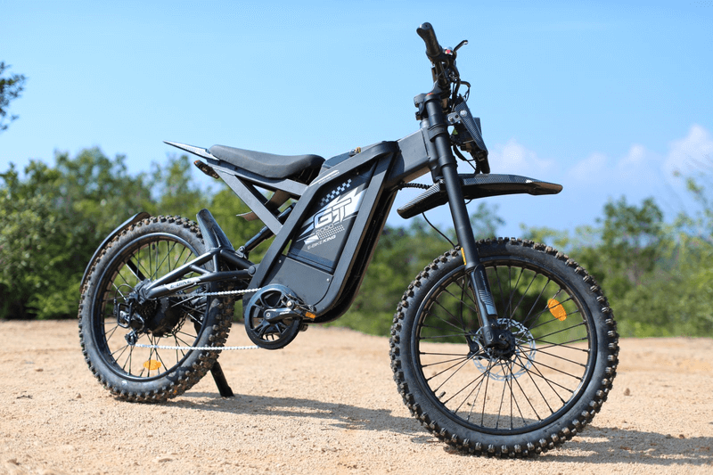 GT2000 elektrinis dviratis 1000W – elektrinis dviratis miesto ir laisvalaikio naudojimui, fotografuotas ant asfalto tako su žalia aplinka.