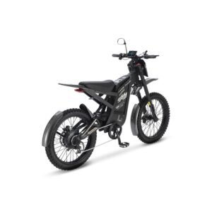 GT2000 elektrinis dviratis 2000W galinis kampinis vaizdas su plačiomis padangomis