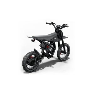 GT54 PRO elektrinis dviratis 1000W galinis kampas, galingas bekelės e-bike su galiniu varikliu, amortizatoriumi ir storomis padangomis baltame fone