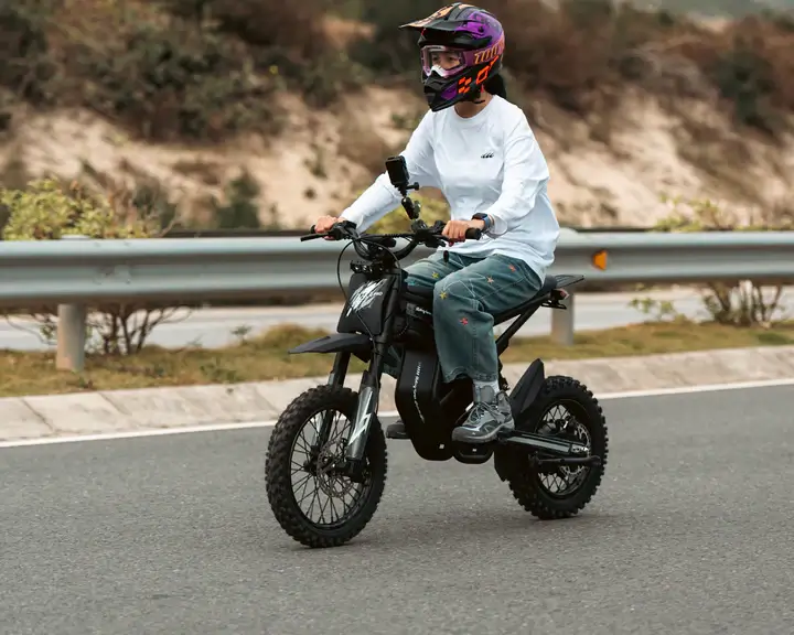 GT54 PRO elektrinis motociklas 1500W važiuojantis miesto keliu, patogus ir stabilus elektrinis motociklo tipo dviratis kasdienėms kelionėms ir laisvalaikiui
