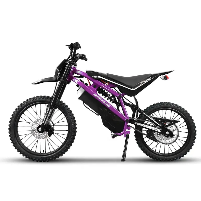 EM23 elektrinis motociklas 2500W violetinės spalvos, vaizdas iš šono